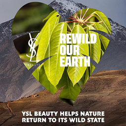 REWILD OUR EARTH：一项旨在保护与恢复自然